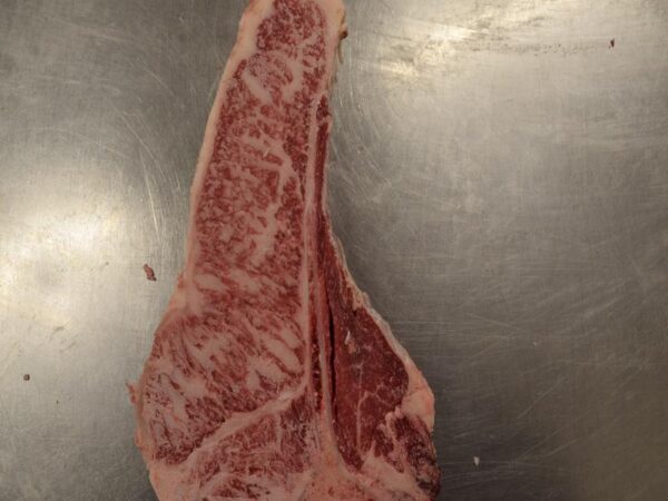 T-Bone  (BMS 8-12)