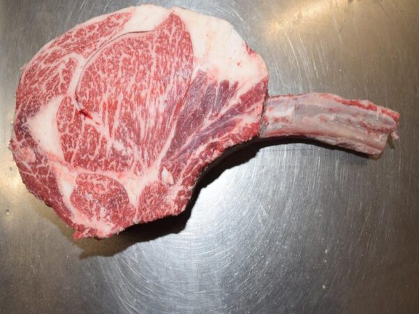Tomahawk (BMS 8-12)
